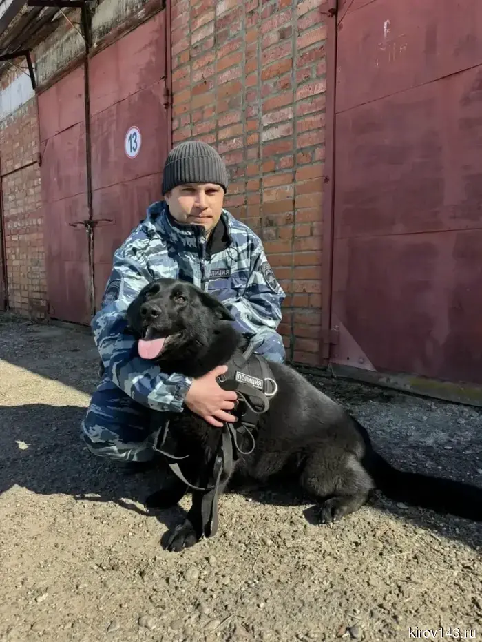 Собака по имени Фаля содействовала полиции в поимке преступника.