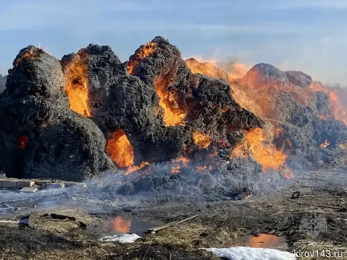 Due to a fire started by children, 200 bales of hay were burned.