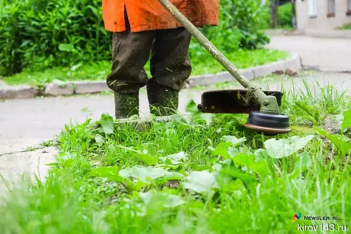 In Kirov, contractors were fined 600 thousand for uncut grass.