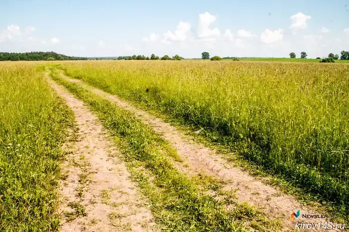 В Кировской области было обнаружено 167 тысяч тонн зерна, не соответствующего стандартам.