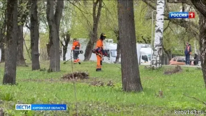 В Кирове подрядные компании начали второй этап mowing травы.