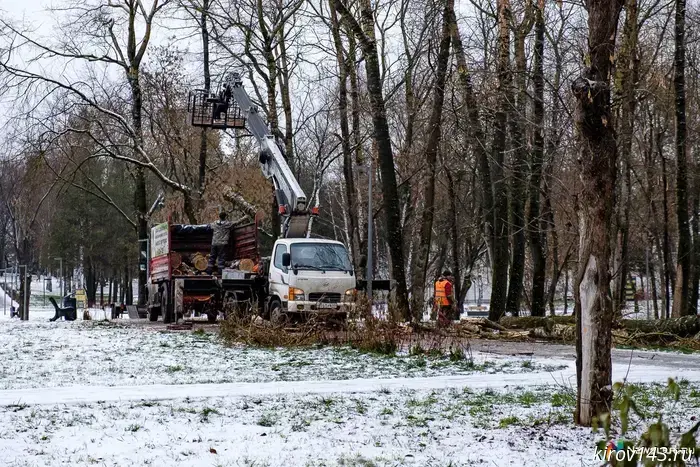 The mayor's office explained why the park near the circus is being cut down.
