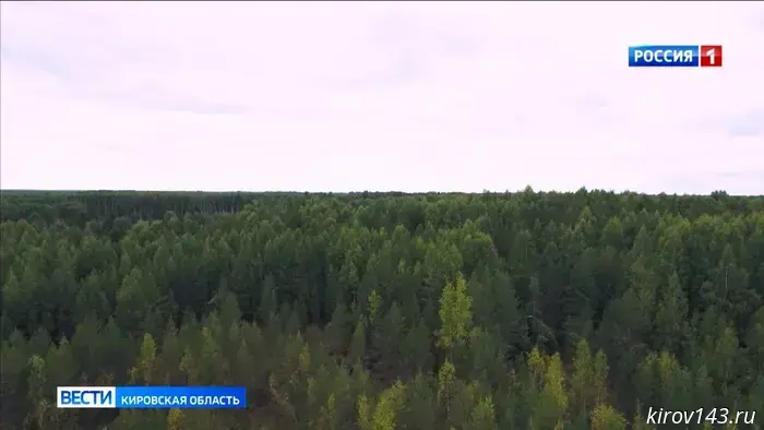 Беспилотники помогают беречь леса Кировской области от пожаров