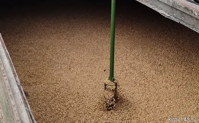 В Кировскую область было завезено 1192 тонны пивоваренного солода.