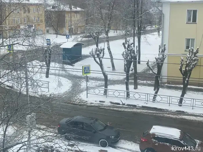 В Кирове на тротуар упало дерево.