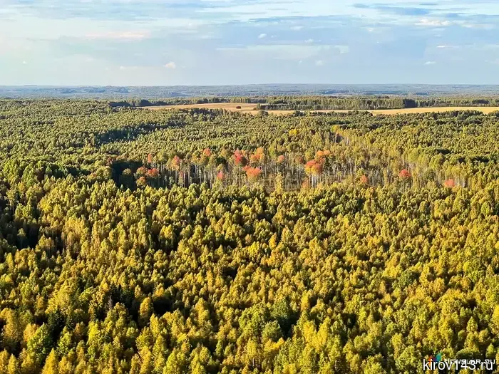 The missing man in the Kirov region was found dead.