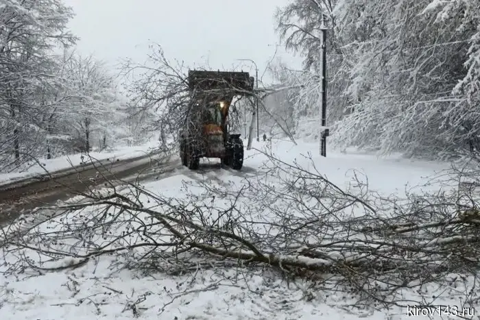 In Kirovo-Chepetsk, trees fell and wires were downed due to bad weather.