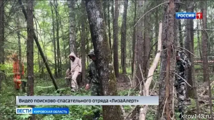 В Бурмакино прошли учения поискового отряда «ЛизаАлерт».