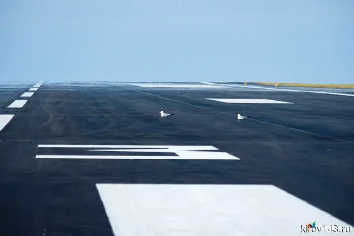On July 1, the first aircraft will land in Pobedilovo after repairs.