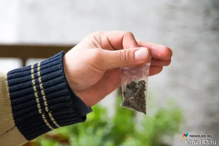 A 16-year-old student was "distributing" drugs in Sovietsk and Kirov.