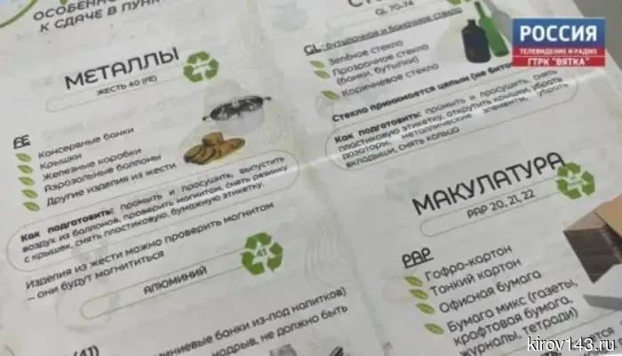 «Не стоит спасать планету в одиночку»: интервью с главой регионального движения «Экосистема»