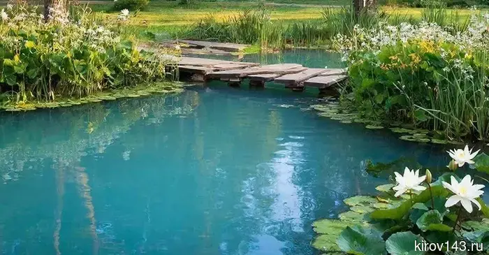 В деревне Каркино Кирово-Чепецкого района восстановят свободный доступ к пруду.