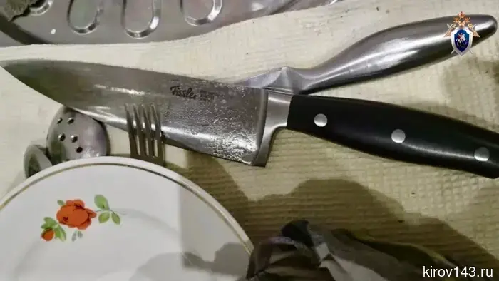 A Kirov resident stabbed his partner.