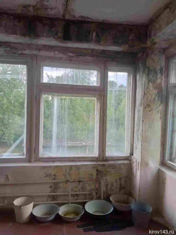 Bastrikin became interested in the emergency kindergarten with mold in the Kirov region.