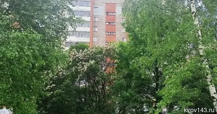 Владельцы кировской недвижимости могут запретить сделки без личного участия.