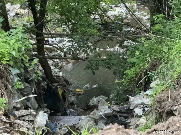 Abashev announced the search for those responsible for the accident in Malye Ryaby
