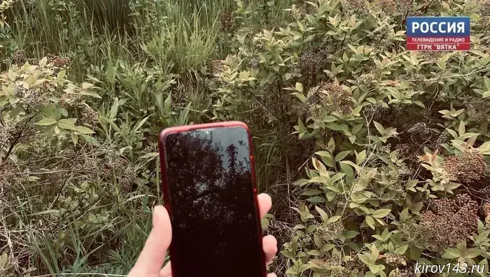 Жительница хутора Фалёнки разместила свое резюме в интернете и попалась на уловки мошенников.