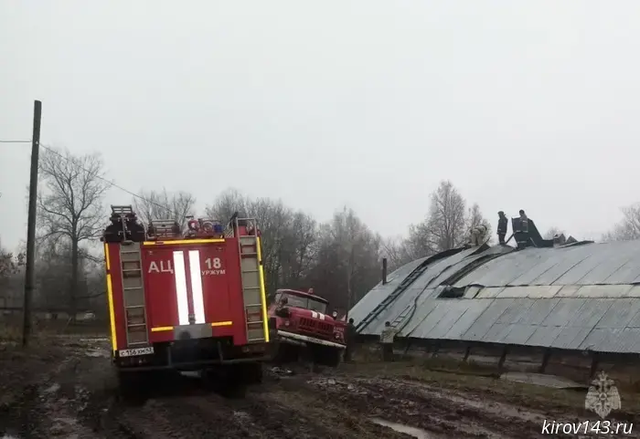 Sixteen cows were rescued during a fire in the Urzhumsky District.
