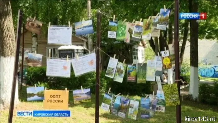 В кировском парке «Аполло» прошел День биоразнообразия.