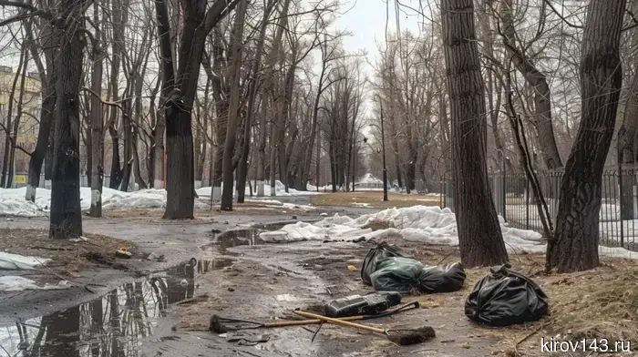Kirov residents are called to clean up the Zasor ravine.