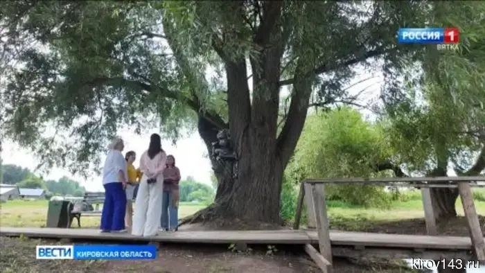 В Куменском районе появился новый арт-объект на Вичёвском дубе