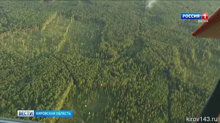 В Кировской области более 95% лесного фонда переведено в цифровой формат.