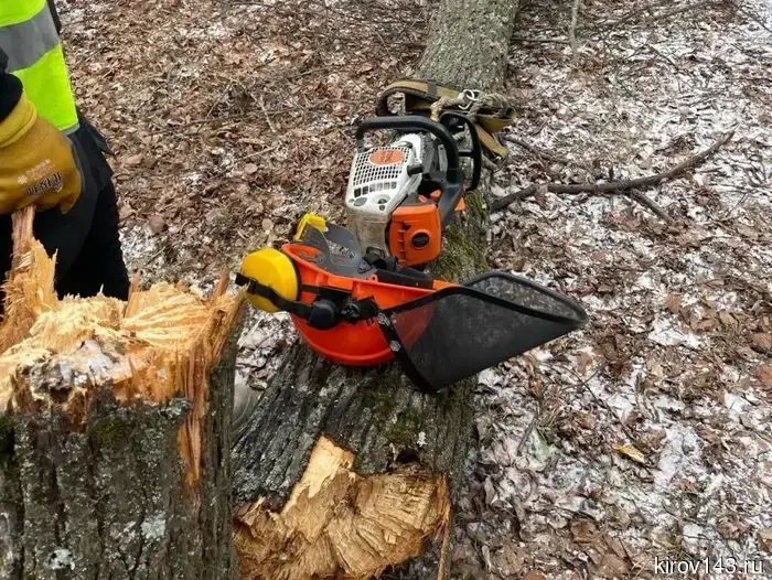 В Кирове убирают ветки и деревья, упавшие из-за сильного ветра.