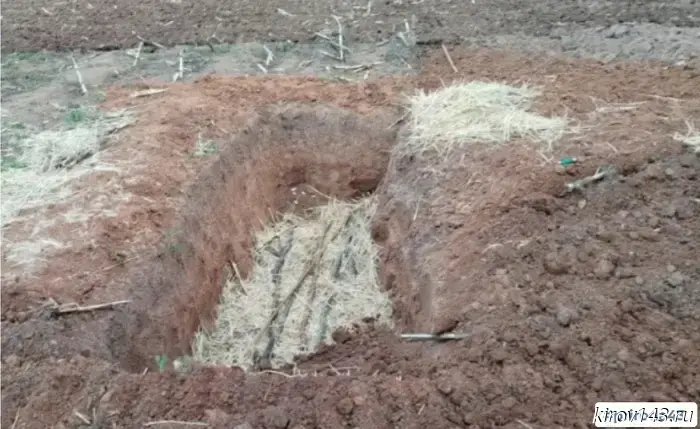 Охотников на гусей в Кирове попросили закрыть «окопы».