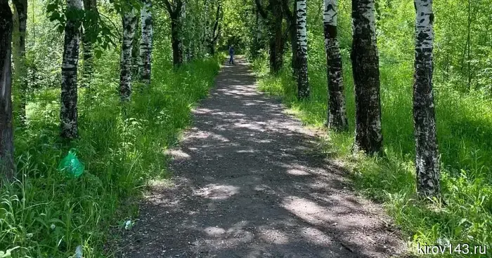В Кирове были согласованы правила защиты природных зон местного значения.