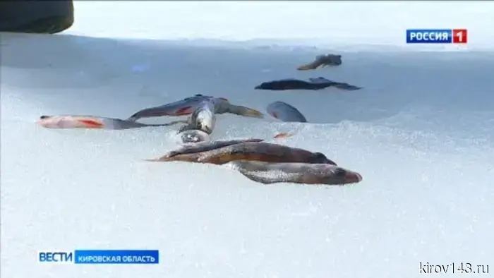 Сотрудники МЧС предупреждают рыбаков об опасности весеннего льда