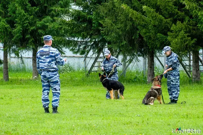 The police dogs showed their skills and "captured" the "training robber"