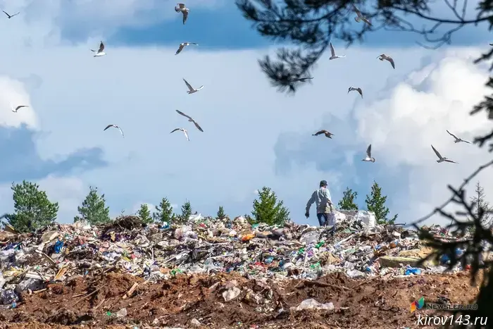 6 landfills will be eliminated in the Kirov region