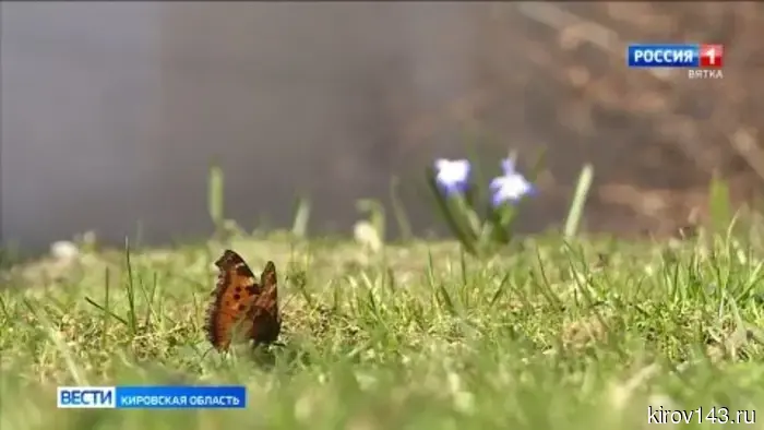 В Кировской области зафиксирована аномальная жара, характерная для марта и апреля.