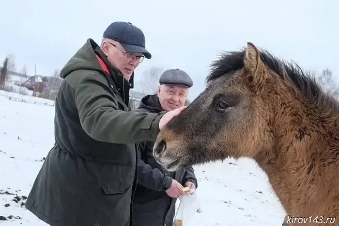 Vyatka horses will ride on Sabantuy