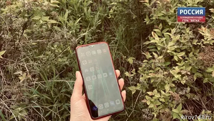 Планируется пополнение перечня сервисов в мессенджере МАХ.