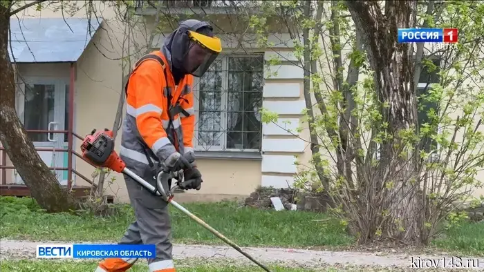 В Кирове подрядные организации начали второй этап косения травы.