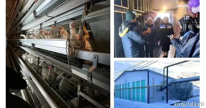 В Вятских Полянах птицефабрика запустила новый корпус, рассчитанный на 100 тысяч птиц.