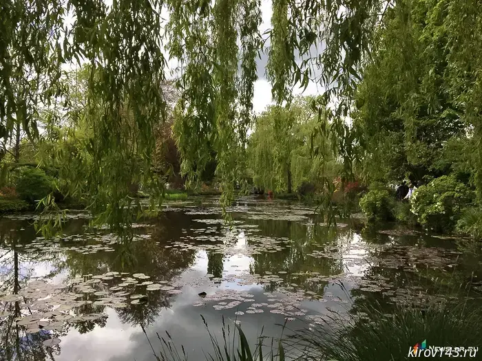 In Slobodskoy District, a car with a body inside was found in a pond in the middle of the forest.