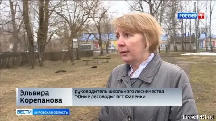 В Фаленках создано школьное лесничество «Юные лесоводы»