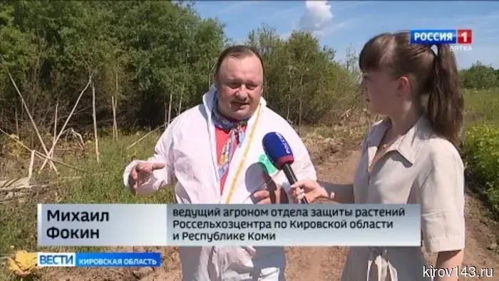 В Кировской области стартовал сезон борьбы с борщевиком