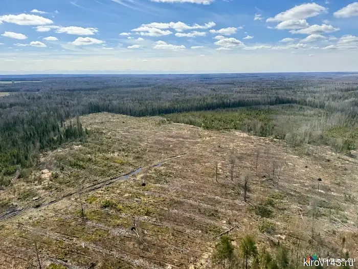 The court ordered the forest tenant to pay a quarter of a million for deforestation.