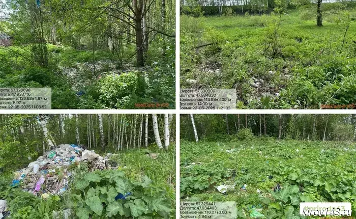 The territory near the landfill will be cleaned up in Yaransky district