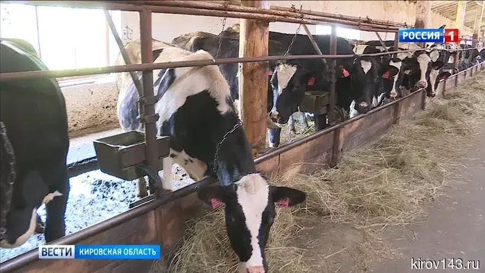 Предприятия по переработке молока в Кировской области могут ожидать новые меры государственной поддержки.