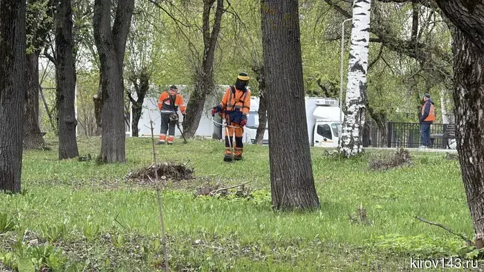 В Кирове стартовали масштабные работы по кошению травы.