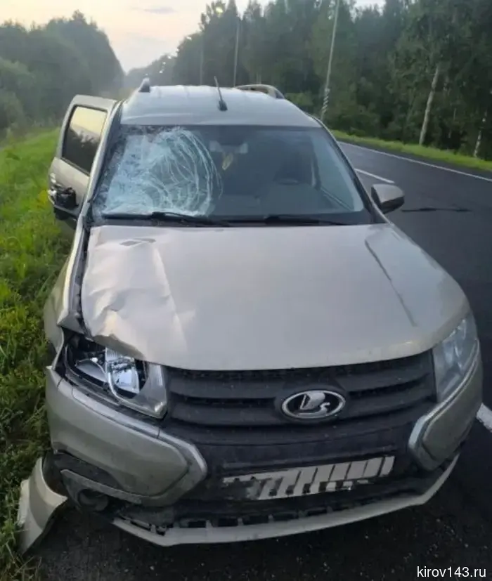 В Котельничском районе насмерть сбили пешехода