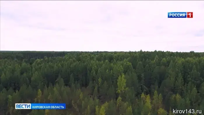Жителям Кировской области рассказали о профилактике лесных пожаров