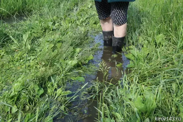 He drowns the buffoonery with shit