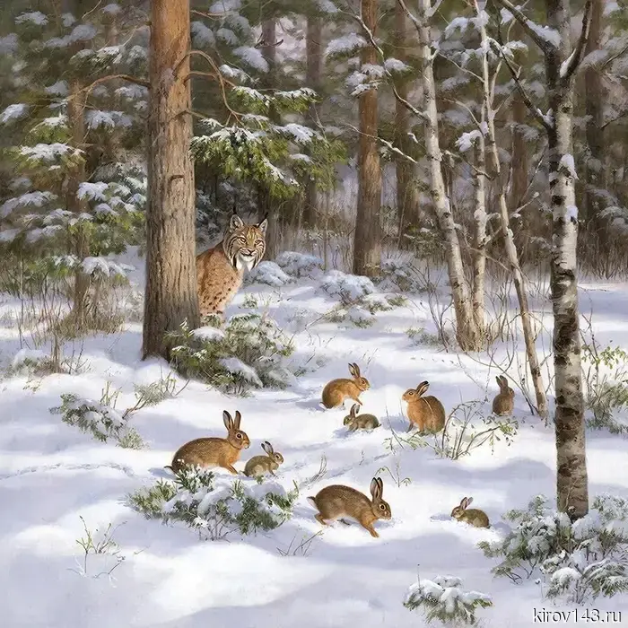 В минэкологии рассказали, чем в марте заняты жители лесов Кировской области