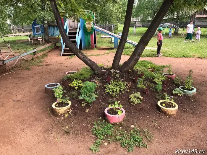 Oleg Valenchuk: Bloom, Vyatka land!