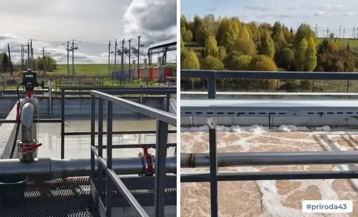 The Ministry of Ecology inspected the Vozhgal butter-and-cheese plant.